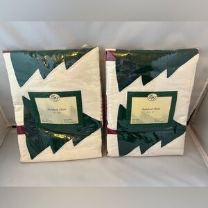 Green and White Standard Sham